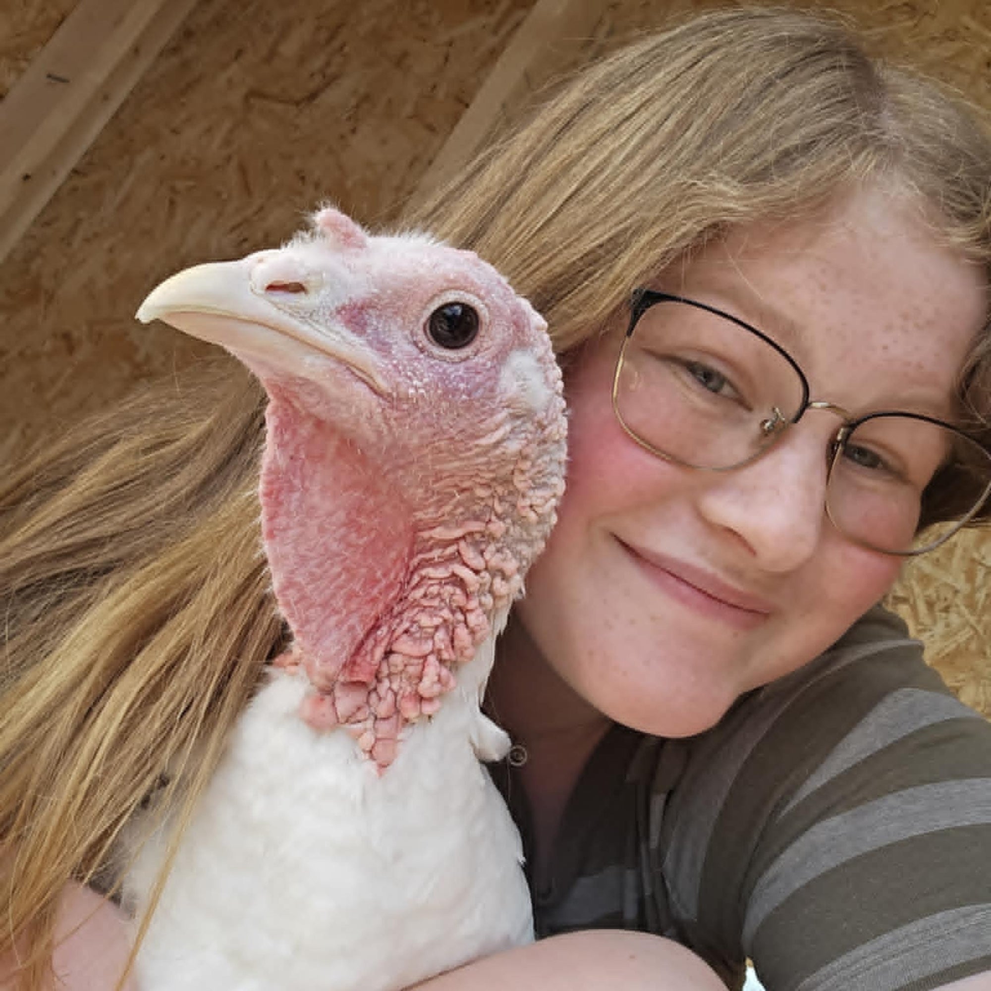 AGDAILY FFA Student Writers