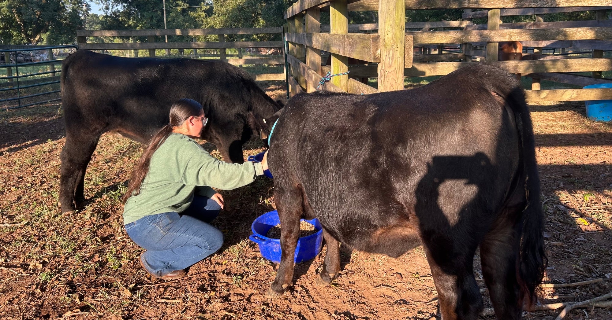 AGDAILY FFA Student Writers