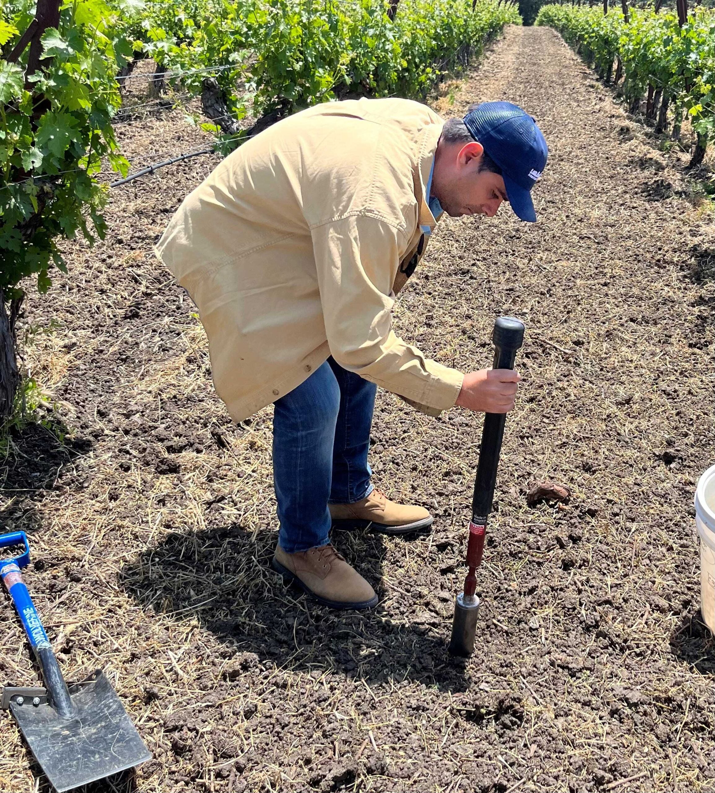 Napa-Valley-soil-assessment