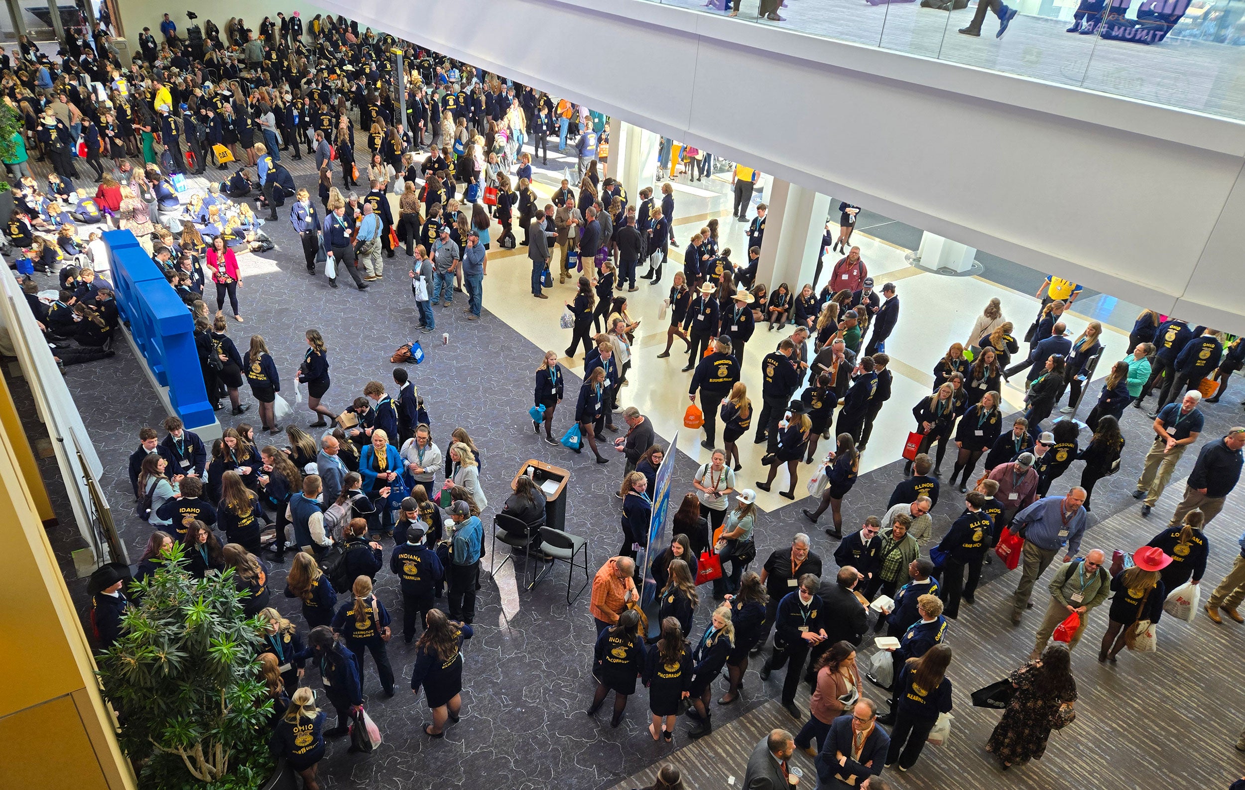 The excitement (and nerves!) of our first National FFA Convention