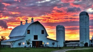 Jason-Brown-Farming-North-Carolina-02