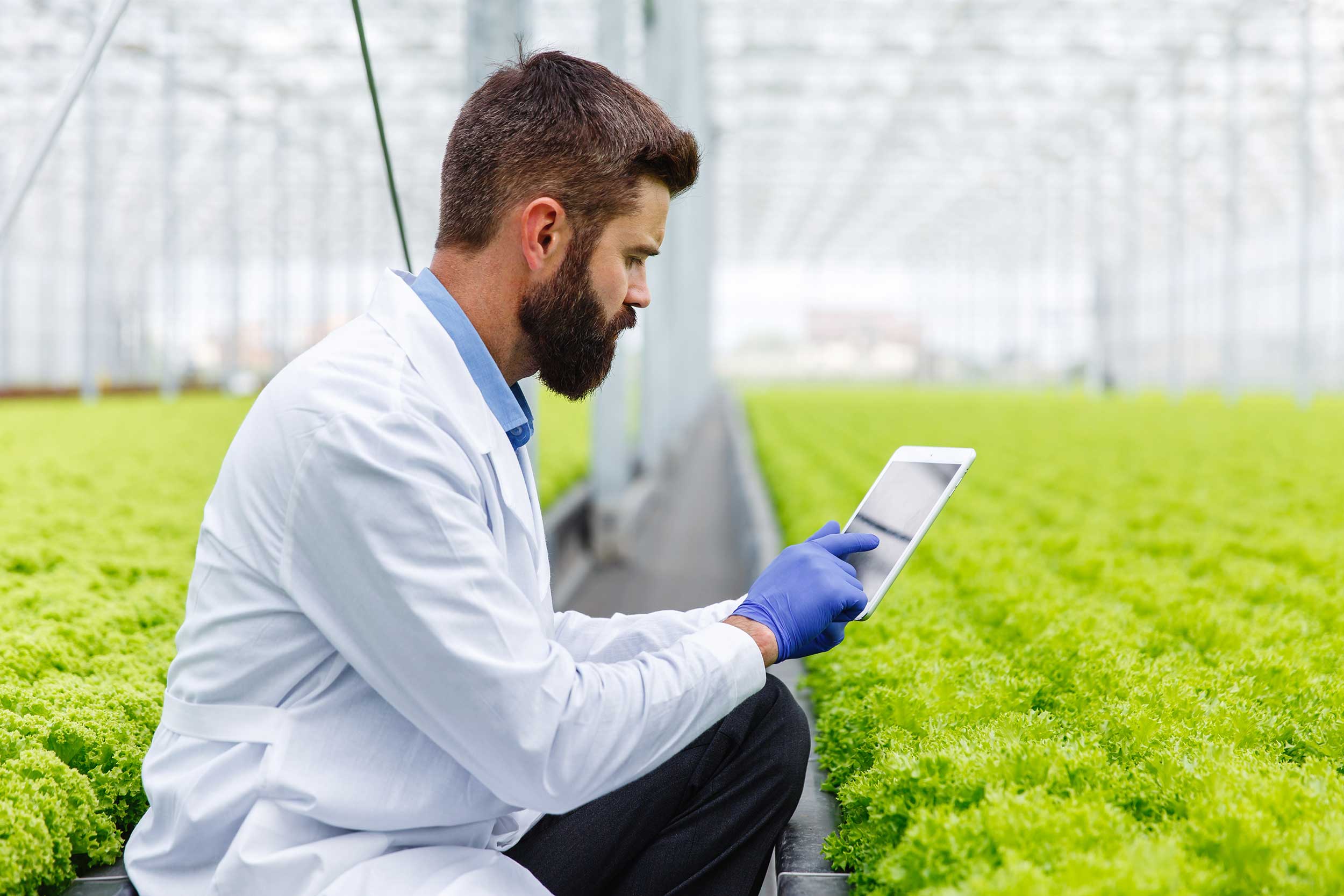 bearded-male-researcher-studies-plants