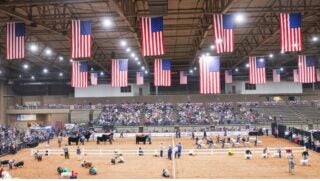 American Royal