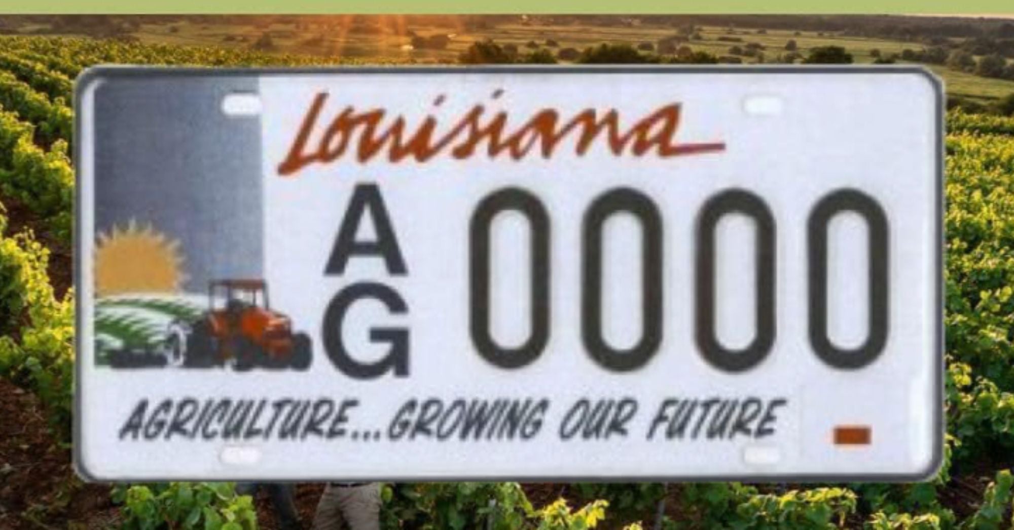 Louisiana Ag Plate