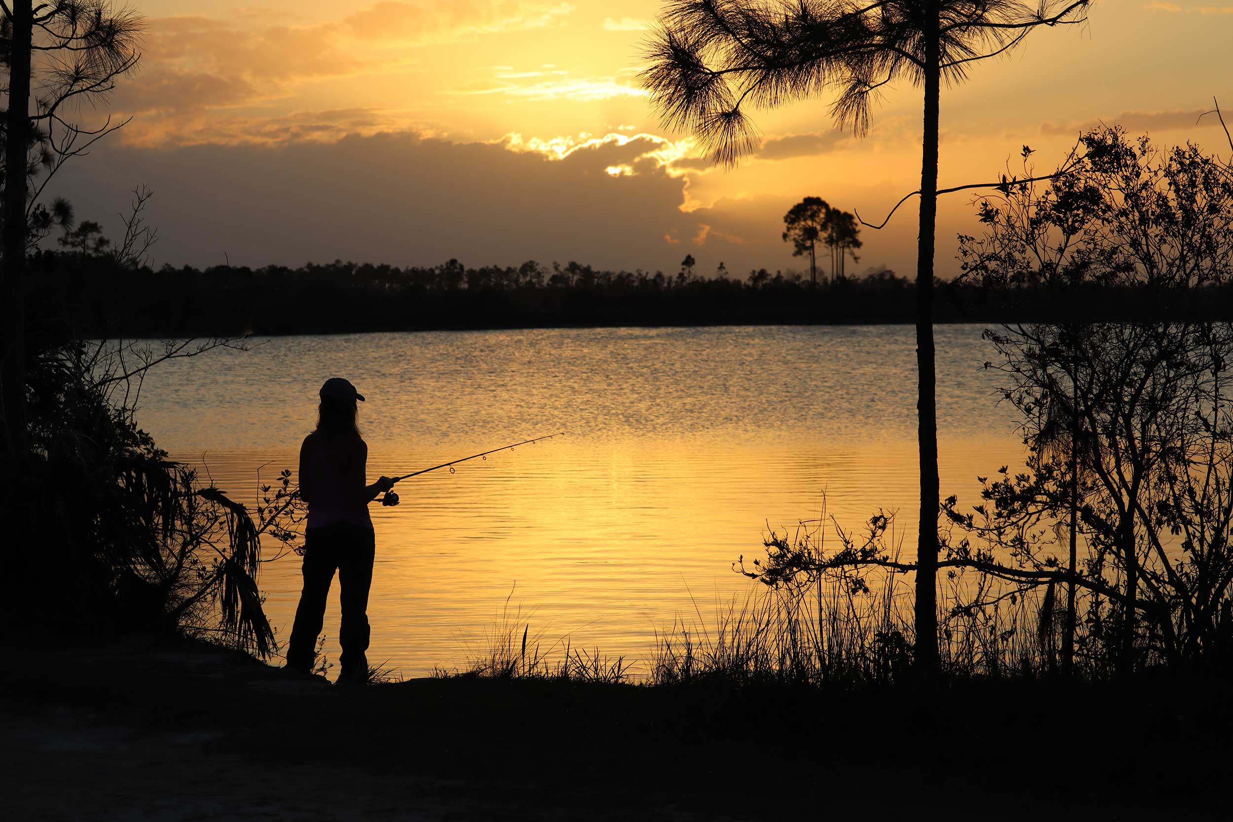 fishing-sunset-everglades