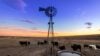 kansas-cattle-farm-windmill