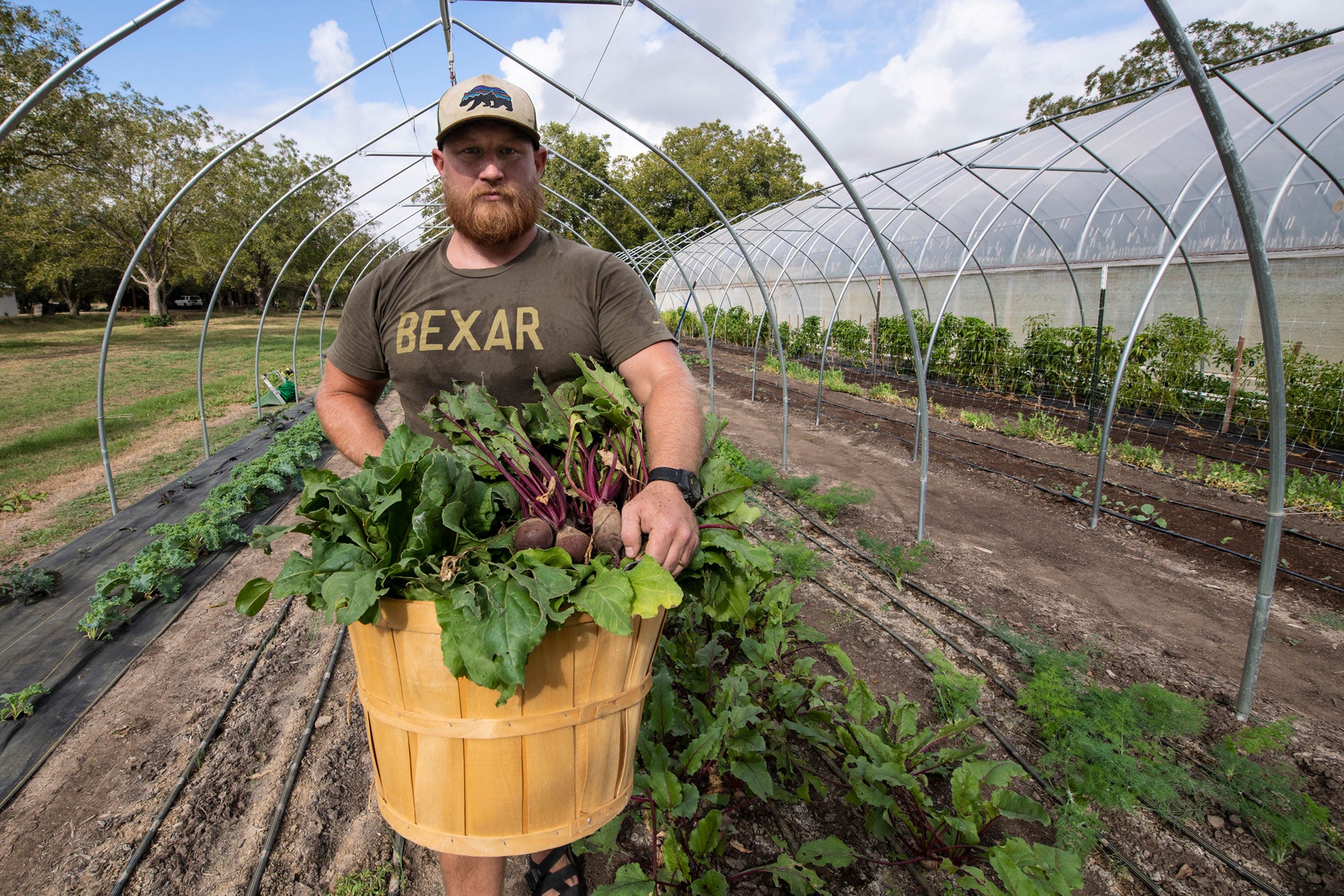 Green-Bexar-Farm-texas-csa