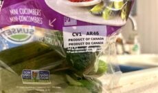 Greenhouse-produce-from-Canada