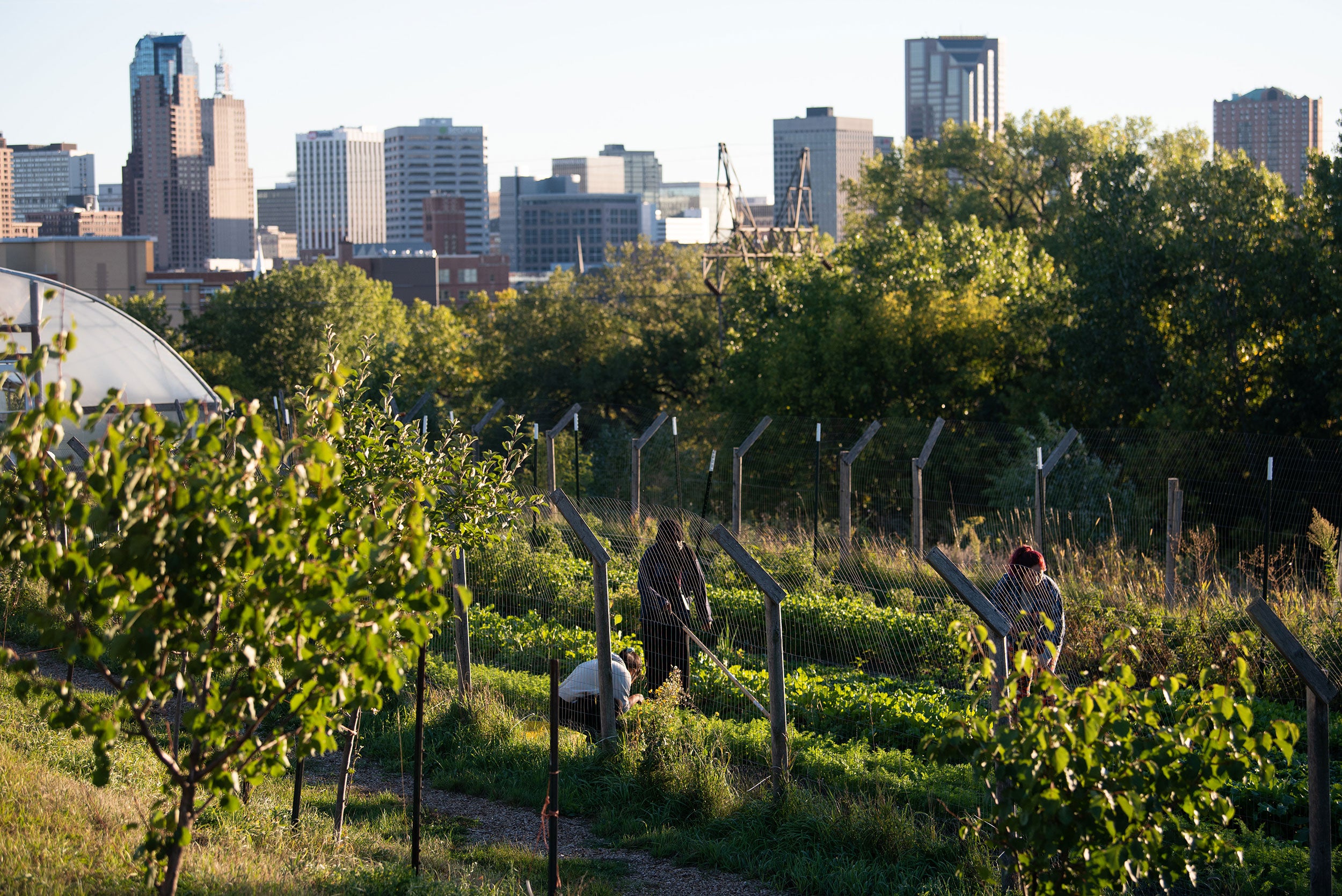 Rivoli_Bluffs_Farm_St-Paul_Minnesota