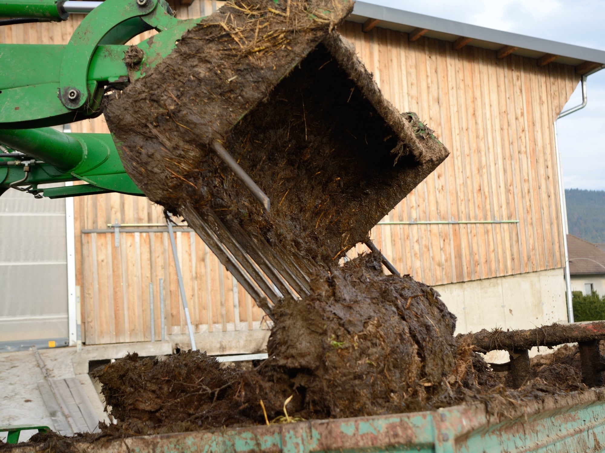 Animal Manure