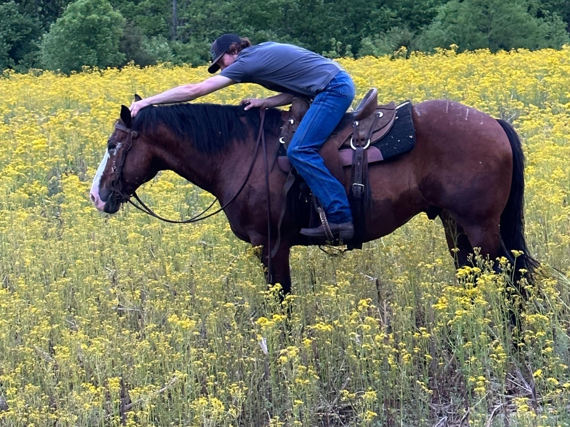 Retraining Bucking Horses