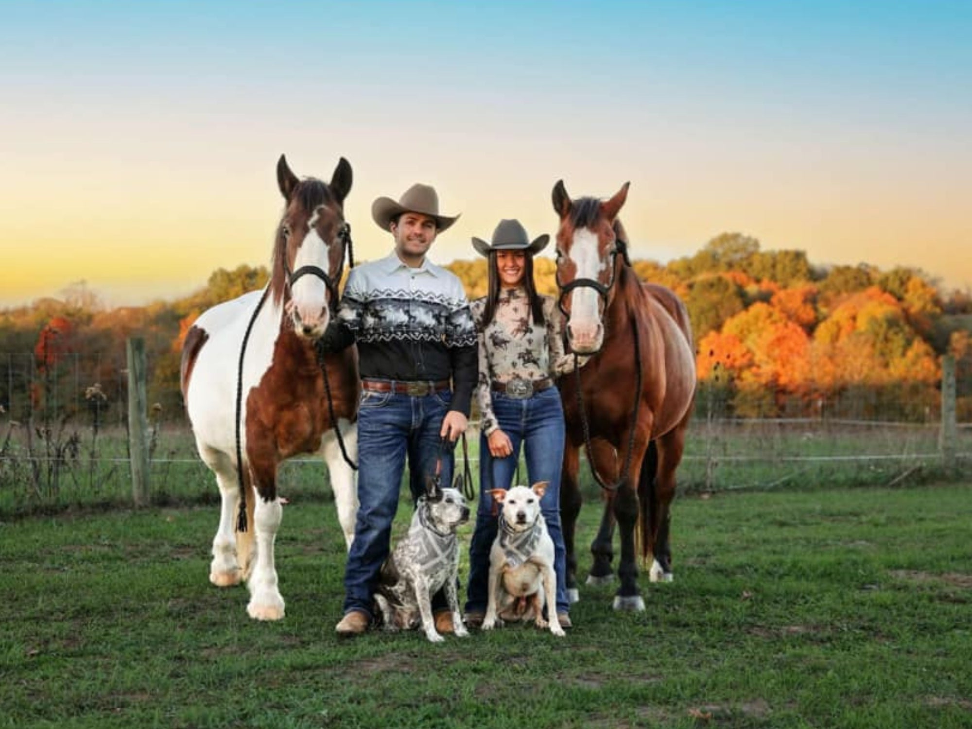 Retrained Bucking Horses