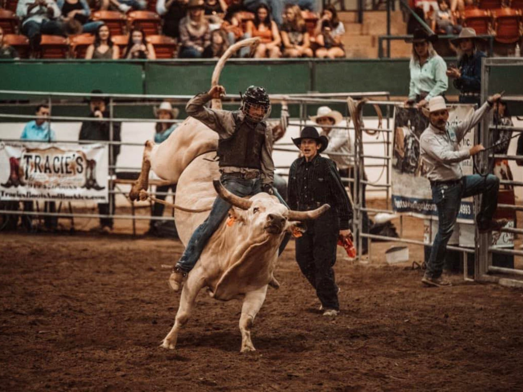 Retraining Bucking Horses