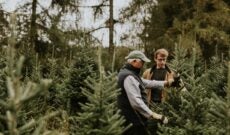 cutting-christmas-trees-rawpixelDOTcom