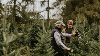 cutting-christmas-trees-rawpixelDOTcom