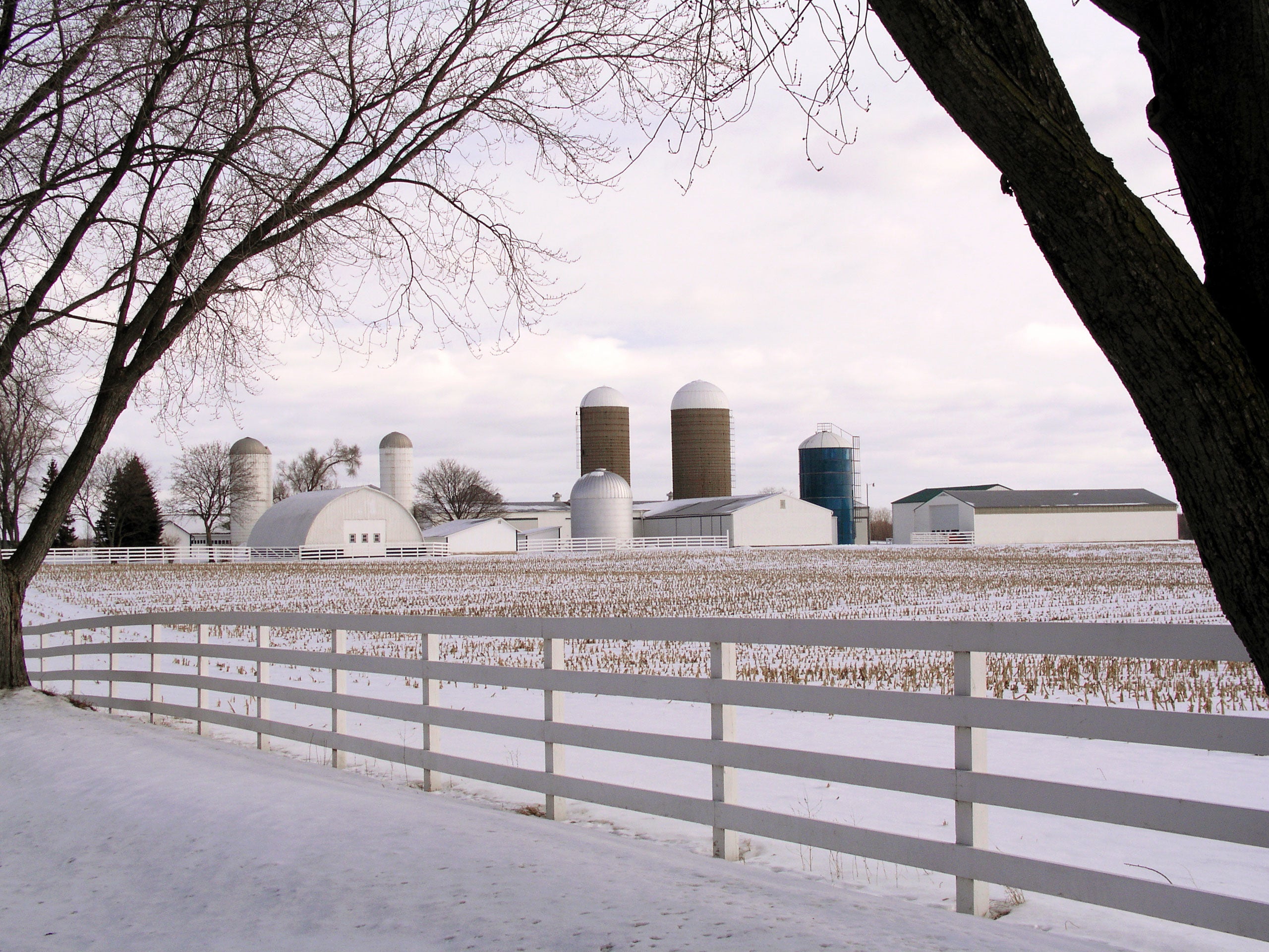 firestone-winter-scene