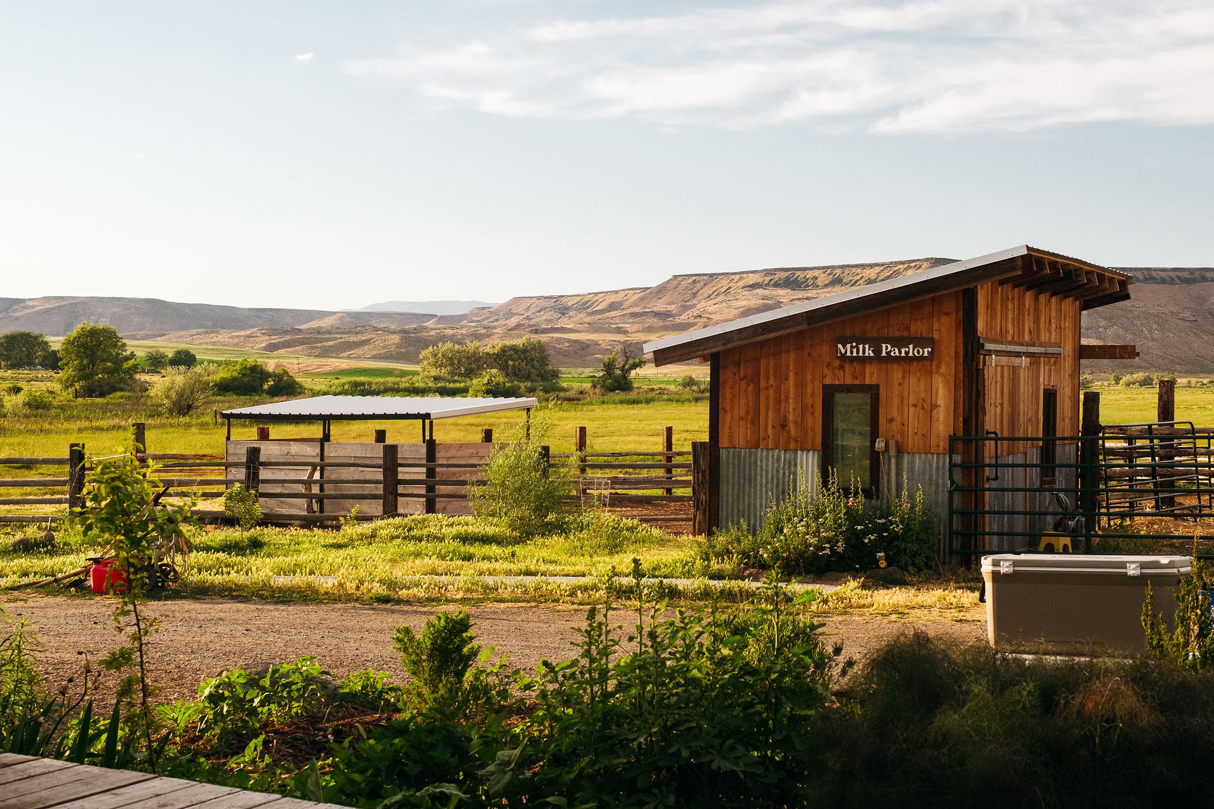 Milk-Parlor-Idaho-Jon-Anthony-Thomson