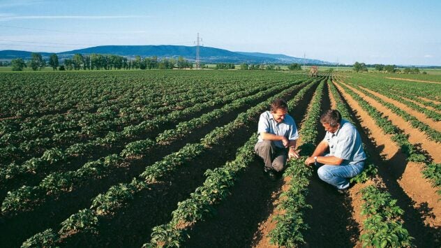 bayer-ecospray-garlic