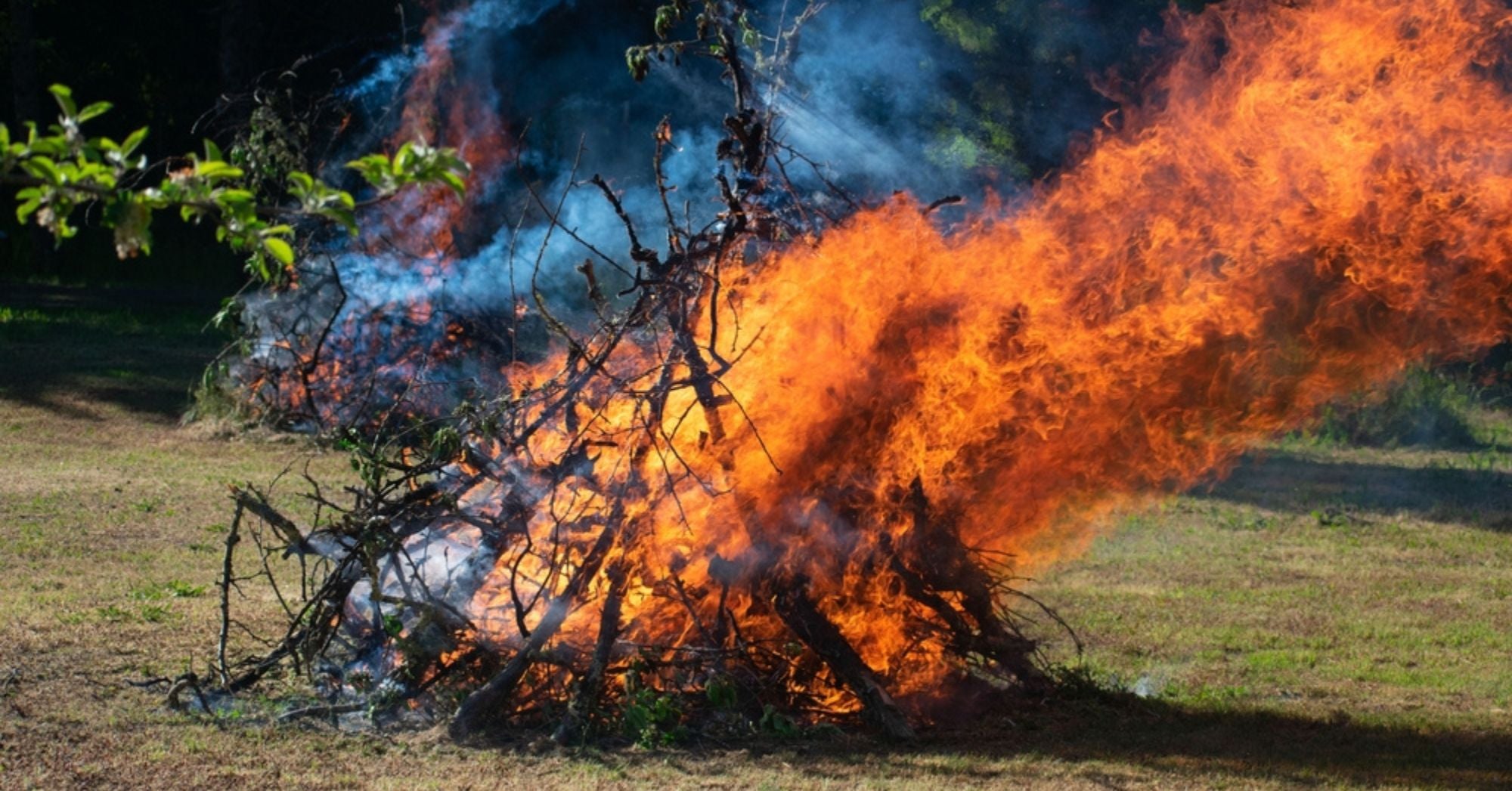 Prescribed Burn Farm