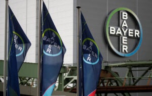 bayer-flags